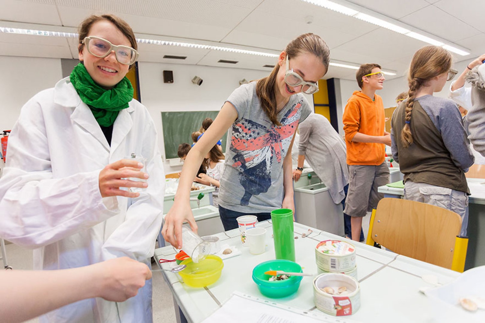 Schulstruktur (Grafik)